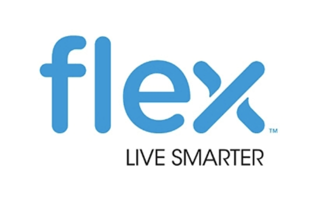 Flex logo