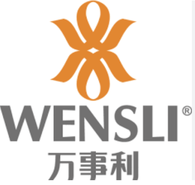 Wensli logo