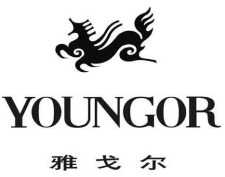 Youngor logo
